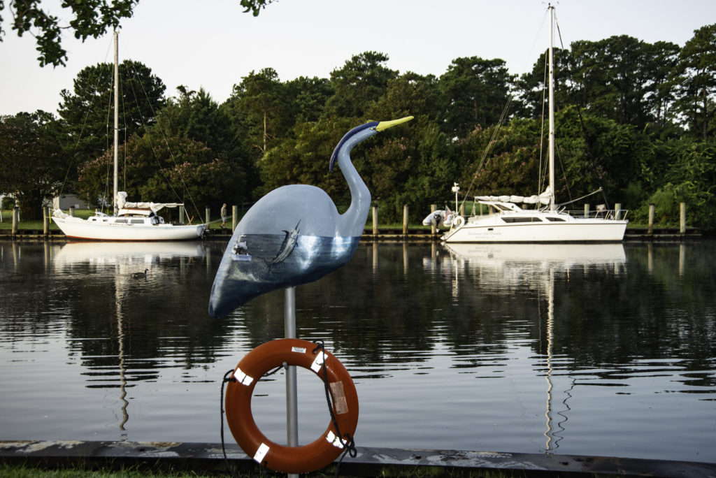 Cheseapeake Waterway Blue Heron Art